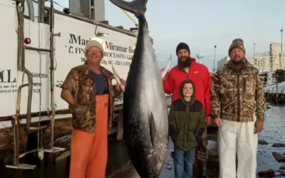 Morehead City Offshore Fishing: Trophy Catches Beyond the Crystal Coast