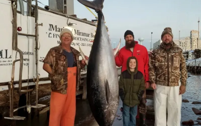 Four people pose on a dock next to a large tuna fish hanging vertically from a hook.