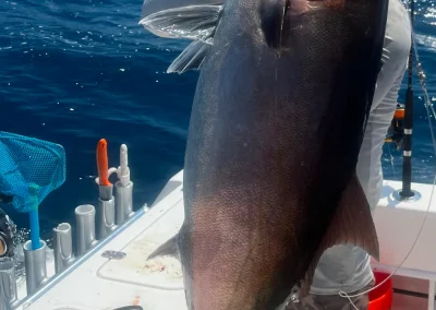 Person holding a large fish on a boat with fishing gear visible and the ocean in the background.