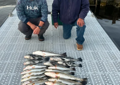 Two men kneeling on a dock next to a catch of fish lined up on the ground.